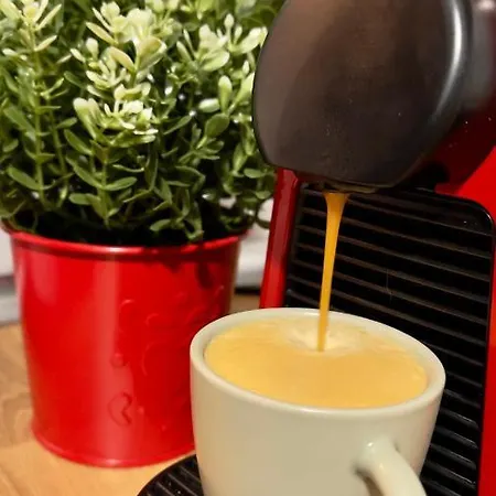 Apartamento T2 Com Terraco Grande