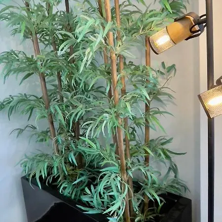 Apartamento T2 Com Terraco Grande شقة *