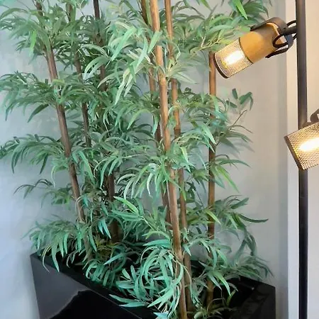 Apartamento Com Terraço Grande Apartamento *